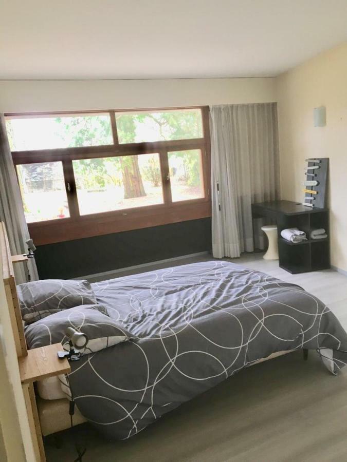 Apartament Maison D'Architecte Au Bord De L'Eau Pont-dʼAin Zewnętrze zdjęcie